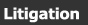Litigation